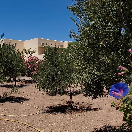 Flower And Crafts - The Eco Nature House *
