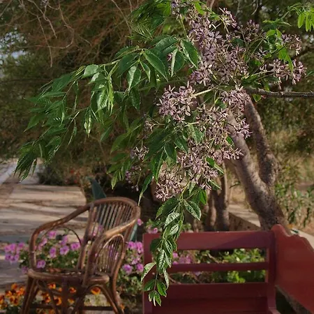 Flower And Crafts - The Eco Nature House * Monolithos (Santorini)